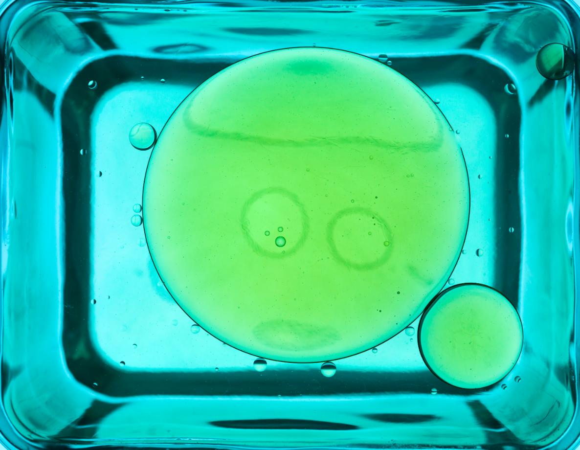 Performance Evaluation for In Vitro Diagnostics (IVDs) LFH Regulatory